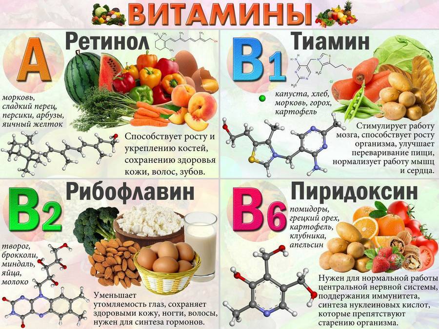 Список продуктов с большим содержанием витамина c