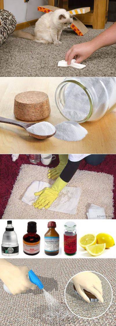 Чем помыть палас от мочи ребенка. как избавиться от запаха мочи на ковре
