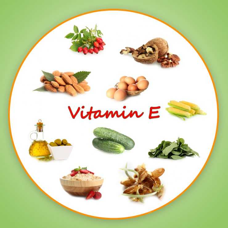 Витамин е в продуктах — обзор, количество содержания, польза и особенности сохранения при приготовлении (видео + 145 фото)