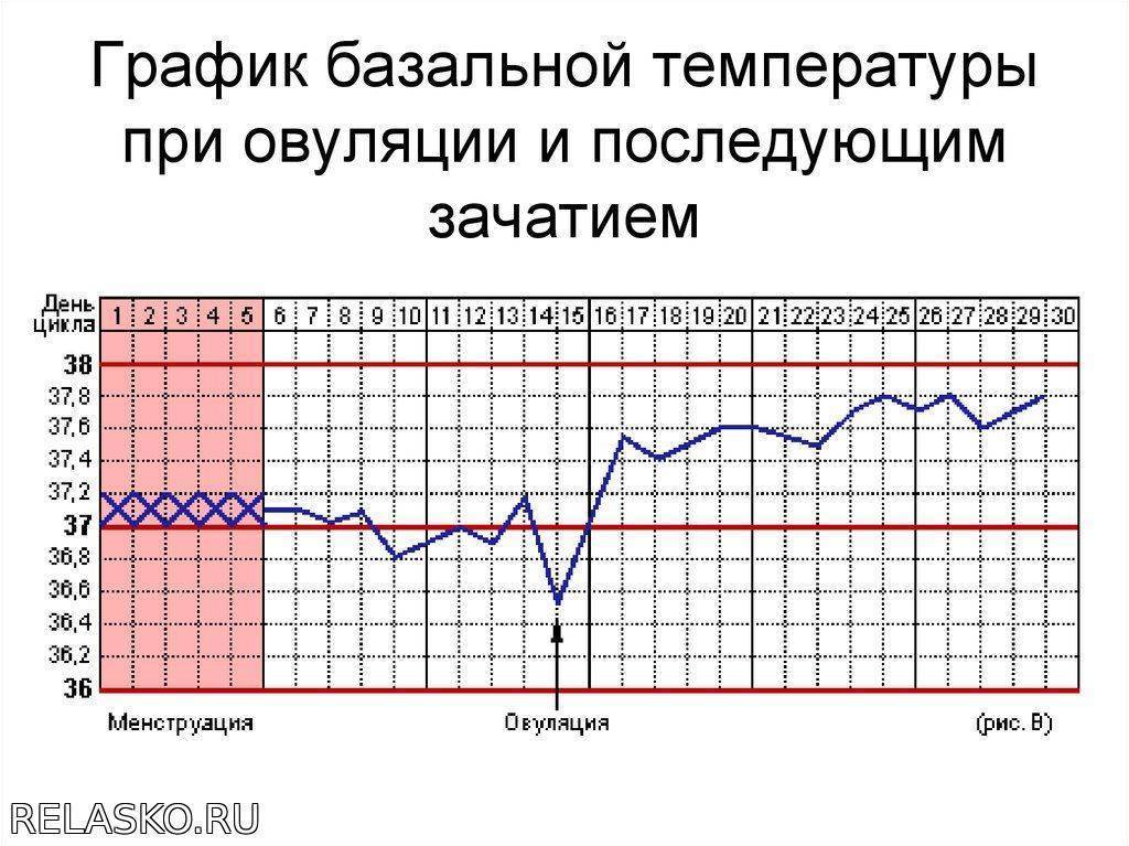 Как измерить базальную температуру для определения беременности и каким градусником пользоваться, базальная температура как правильно измерять, измерение базальной температуры, как померить.