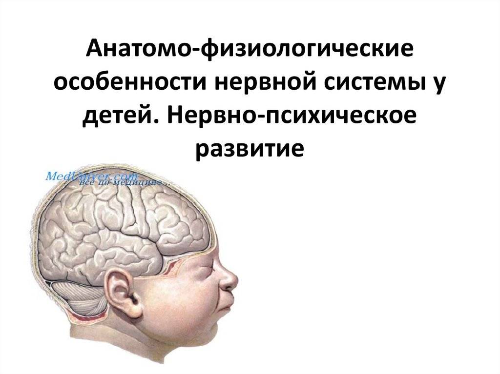 Признаки нейрофизиологической незрелости коры головного мозга у ребенка