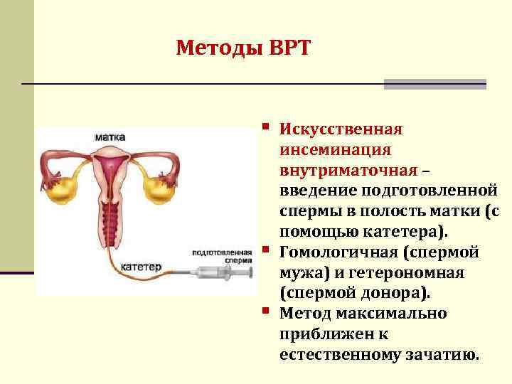 Внутриматочная инсеминация: как проходит - статья репродуктивного центра «за рождение»