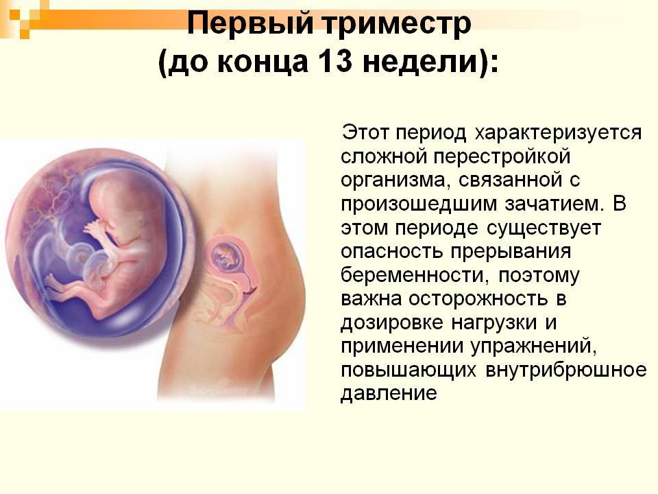 Во сколько недель начинает шевелиться ребенок в животе, первые шевеления плода при первой беременности