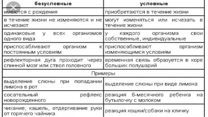 Рефлексы новорожденного ребенка | happy lady | счастливая женщина