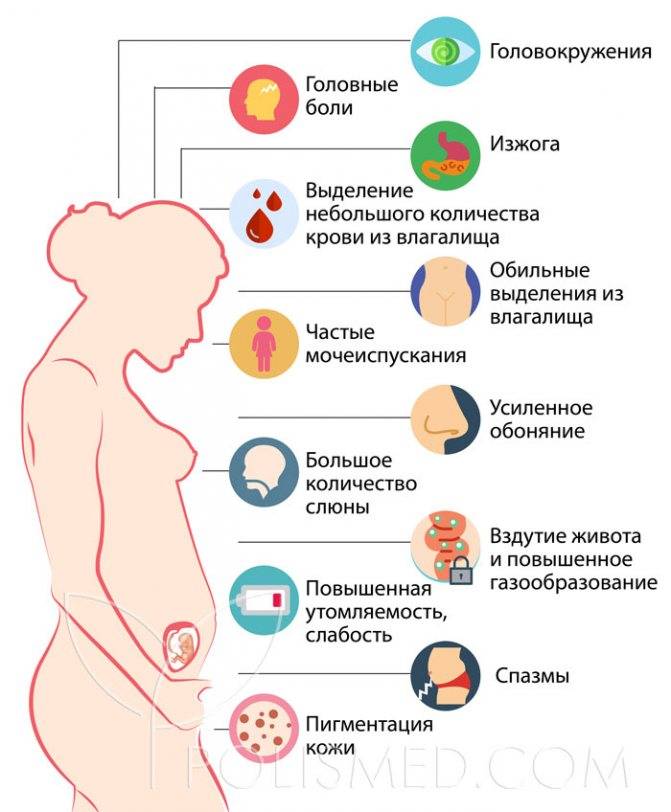 Боли в первом триместре у беременных | что делать, если болит тело в первом триместре? | лечение боли и симптомы болезни на eurolab