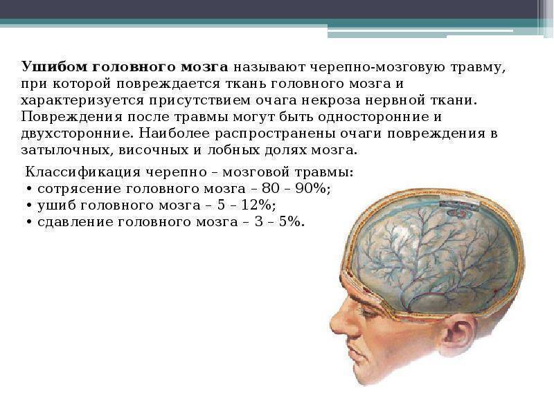 Как вовремя распознать у ребенка черепно-мозговую травму: объясняет врач - новости yellmed.ru