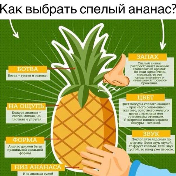 Как выбрать спелый ананас