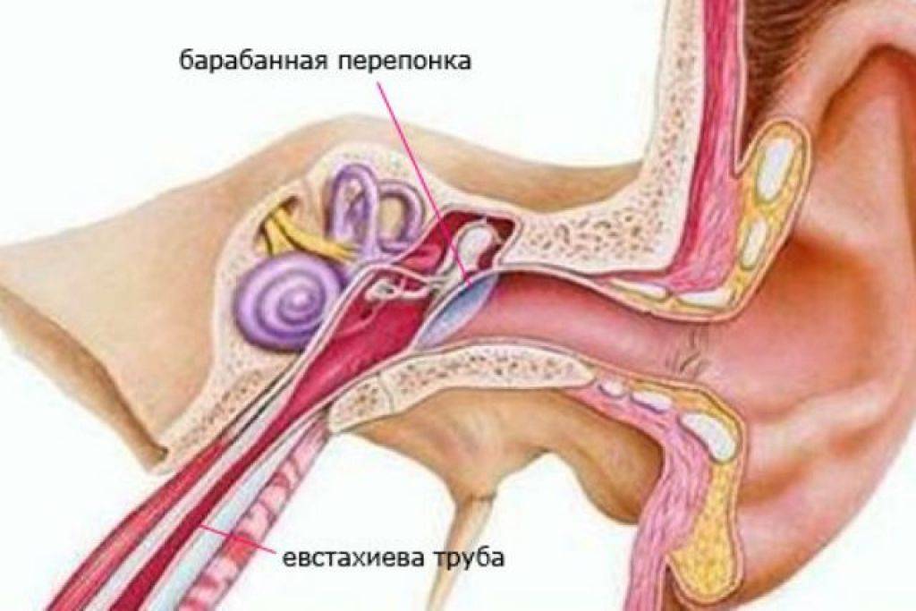 Болезнь меньера - заболевание внутреннего уха, из-за которого возникают приступы глухоты, шума в ушах, головокружения и нарушения равновесия