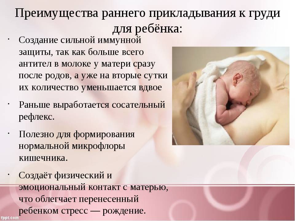 В чем важность раннего прикладывания новорожденного к груди (прикладывание сразу после родов)