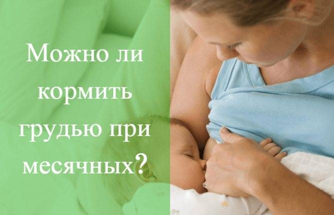 Месячные после родов при грудном вскармливании
