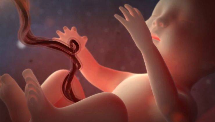 35 неделя беременности – что происходит, развитие и вес ребенка, ощущения, как выглядит живот - agulife.ru
