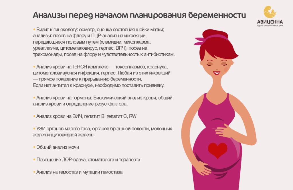 Анализы при планировании беременности | какие анализы сдать перед беременностью