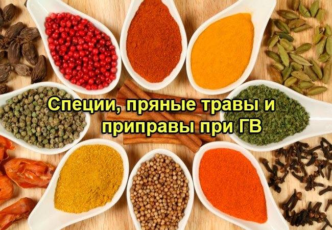 Какие специи можно кормящей маме