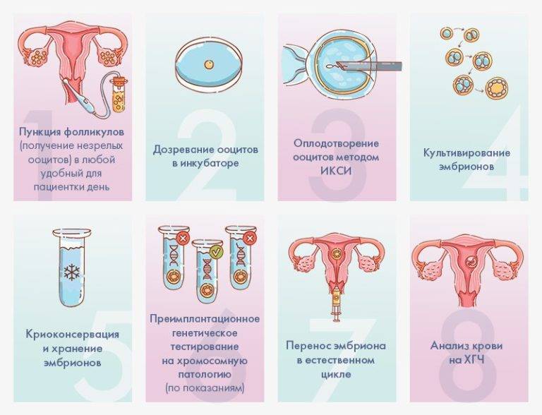 Вспомогательный хетчинг перед эмбриопереносом: цена, подготовка, проведение | клиника «линия жизни» в москве