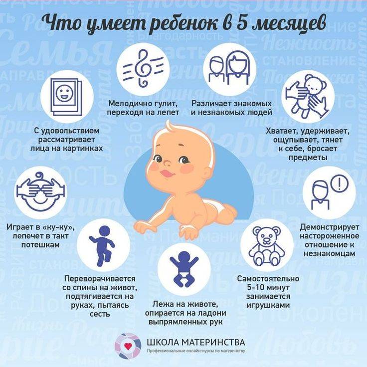Развитие ребенка в 5 месяцев: что должен уметь делать, как правильно развивать мальчика и девочку