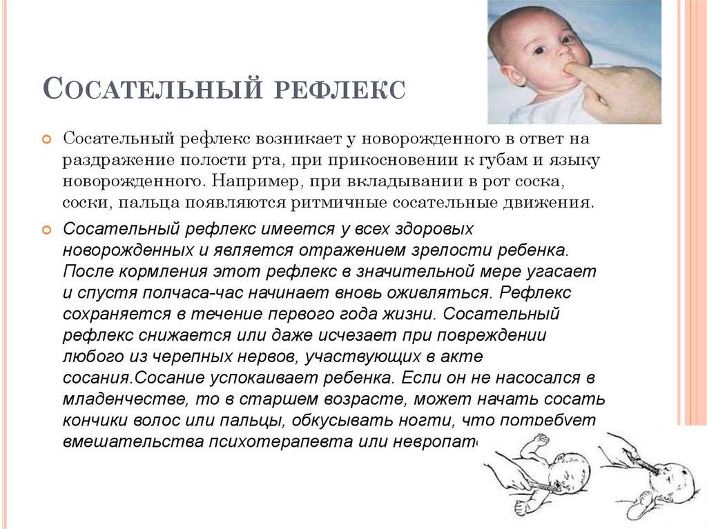 Основные рефлексы у новорожденных детей