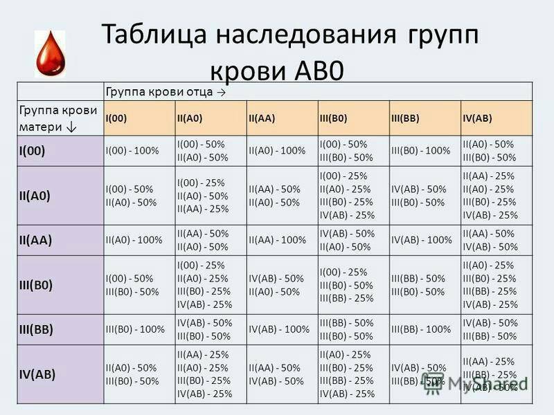 Группы крови человека: чем отличаются и почему их нельзя смешивать - hi-news.ru