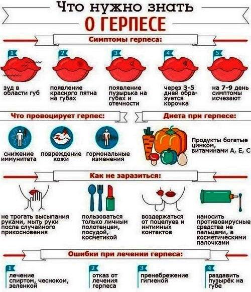 Герпес на губе  и другие типы герпетической инфекции
