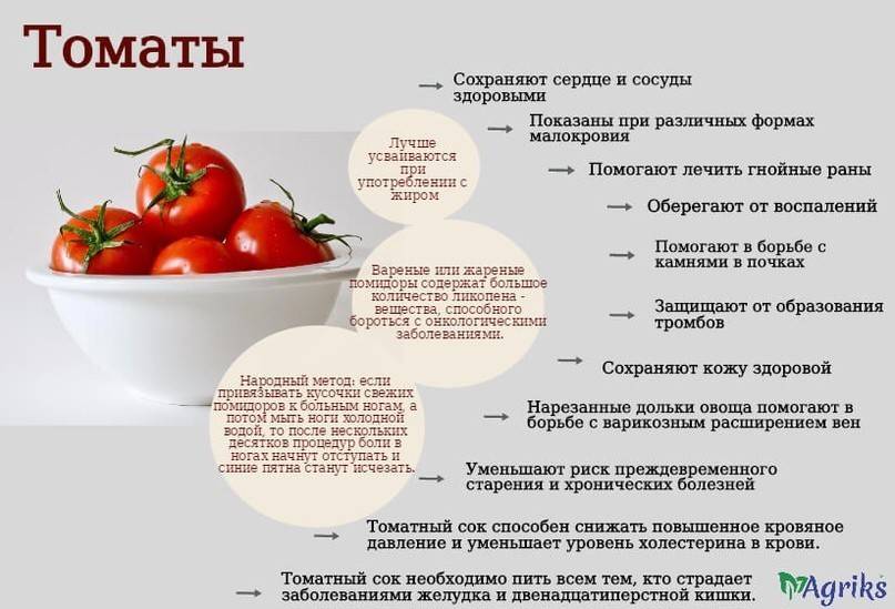 Блюда из помидоров при грудном вскармливании