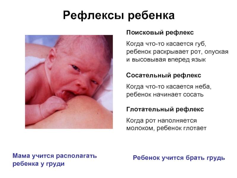 Почему грудничок высовывает язык: признак эмоций или повод для беспокойства