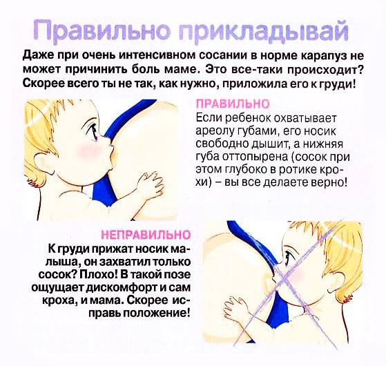 Наблюдение в послеродовом периоде. осложнения и заболевания послеродового периода