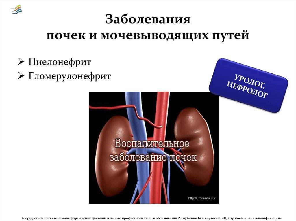 Инфекции мочевыводящих путей (имвп) у детей. информация для родителей. - доказательная медицина для всех