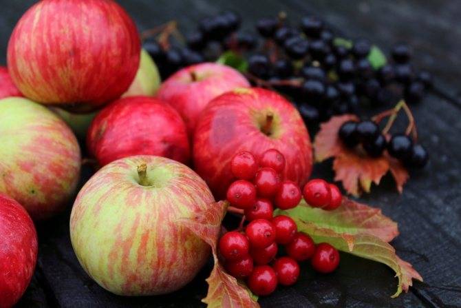 Яблоки при грудном вскармливании: можно ли зеленые или печеные яблочки