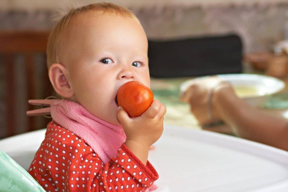 Как научить ребенка жевать и глотать твердую пищу: Комаровский