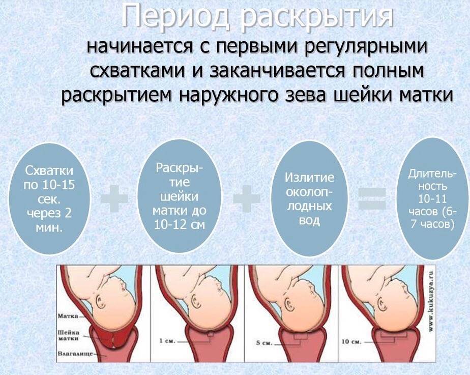 Вторая беременность: физиологические и психологические отличия. как подготовить первого ребёнка к рождению второго?