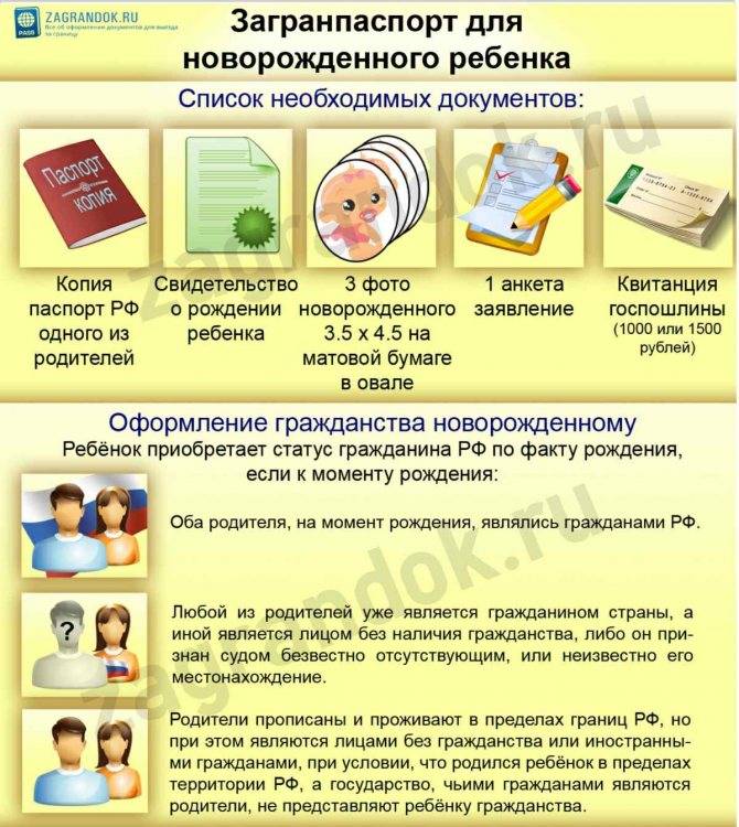 Усыновление ребенка из роддома: что нужно сделать и как договориться с директором, документы и требования