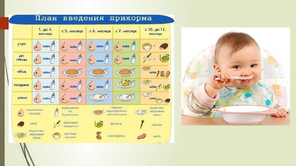 Первый прикорм новорожденного: как вводить, таблица прикорма по месяцам