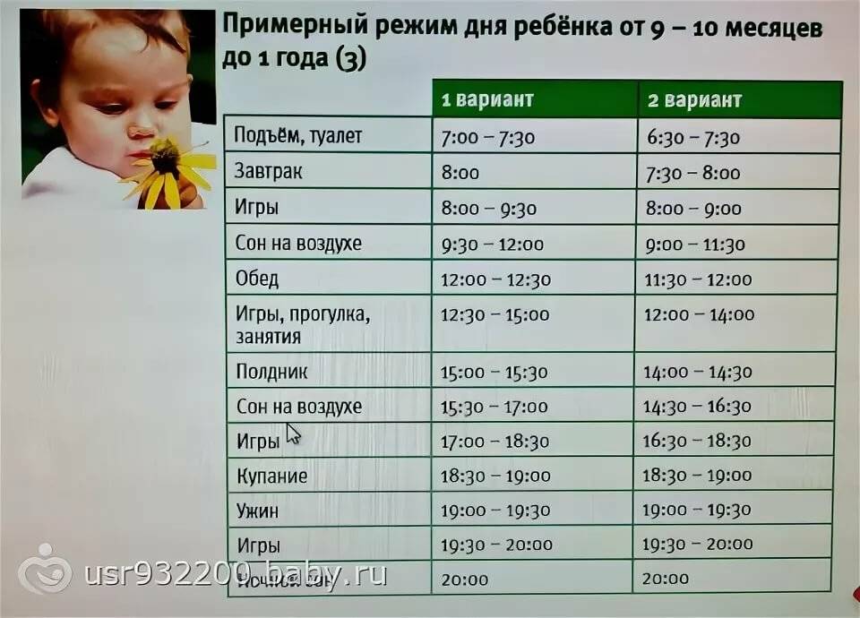 Режим дня ребенка в 10 месяцев + таблица по часам |