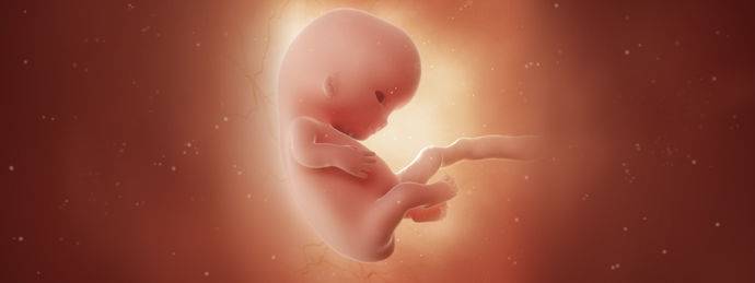 9 неделя беременности: что происходит с малышом и мамой