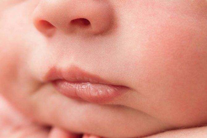 Тремор подбородка у новорождённого – патология или норма? почему трясется подбородок у новорождённого – наиболее частые причины