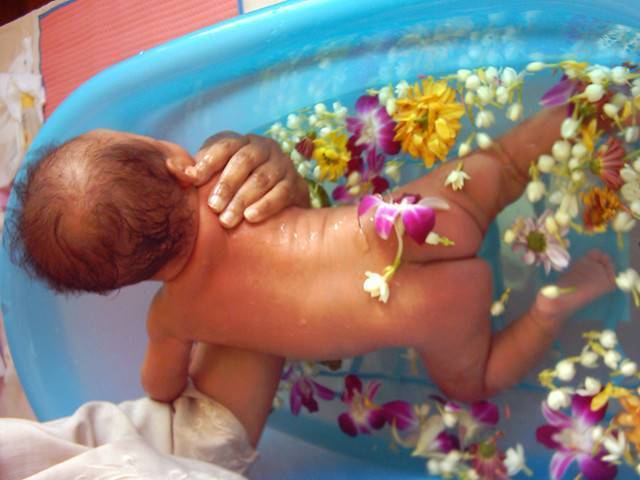 Полезные свойства череды для купания новорождённых и детей до одного года