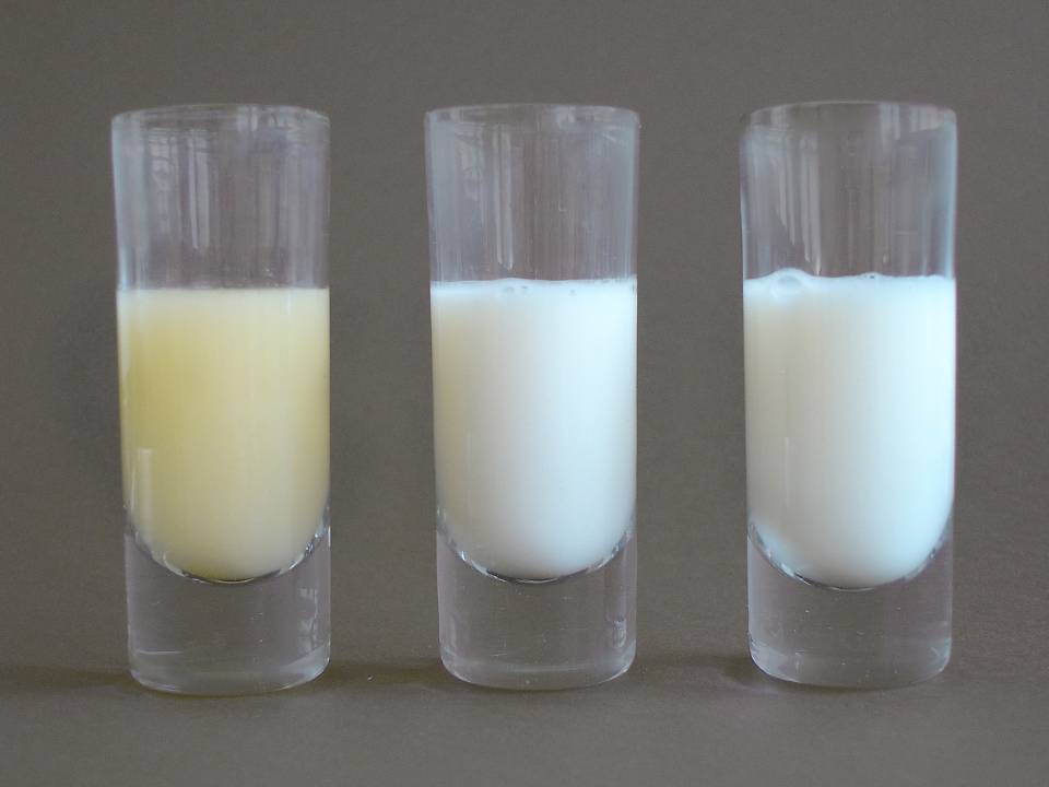 Переднее и заднее грудное молоко - в чем отличие, преимущества