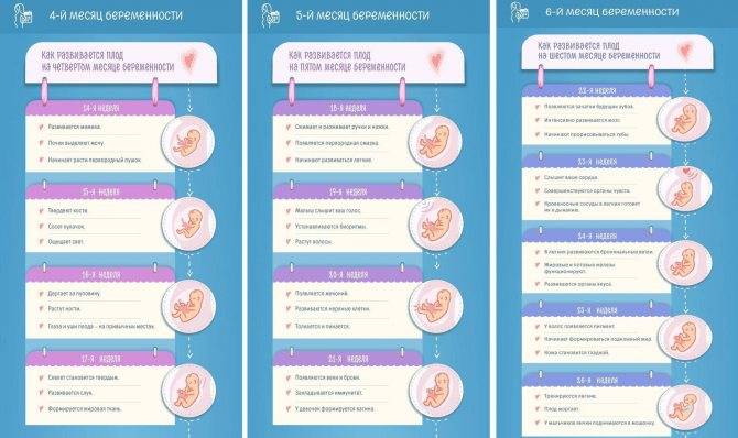 Первая неделя беременности: признаки, симптомы и ощущения – что происходит на 1 неделе беременности — медицинский женский центр в москве