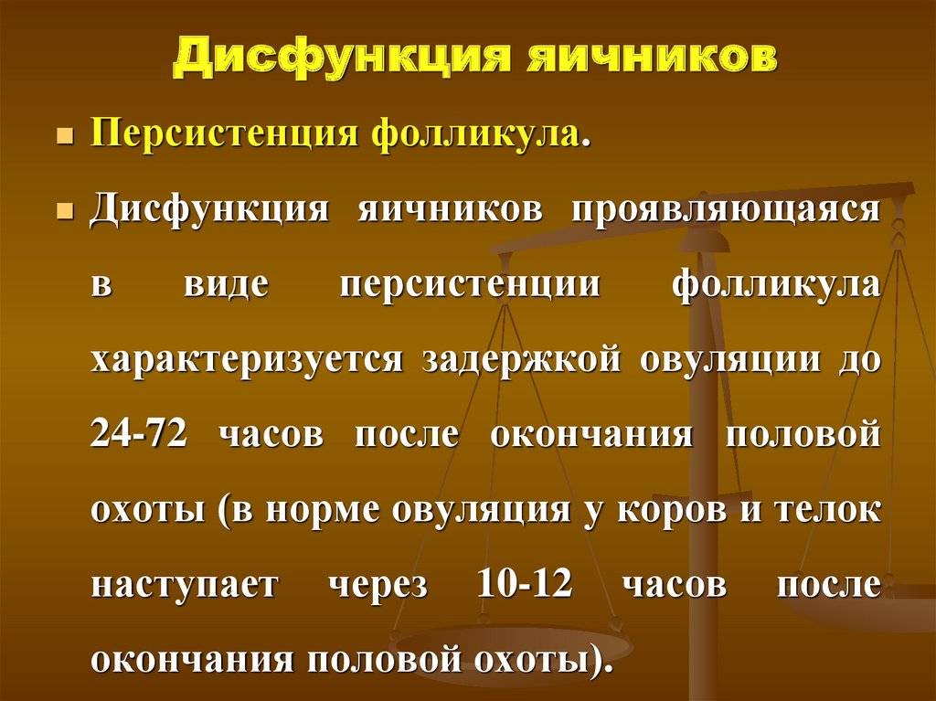 Лечение яичников. Нарушение функции яичников. Нарушение работы яичников. Функциональные нарушения яичников. Дисфункциональные заболевания яичников.