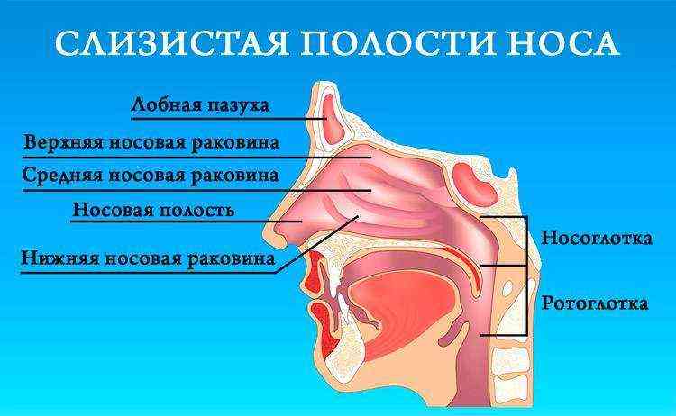 Синусит у детей: лечение и симптомы