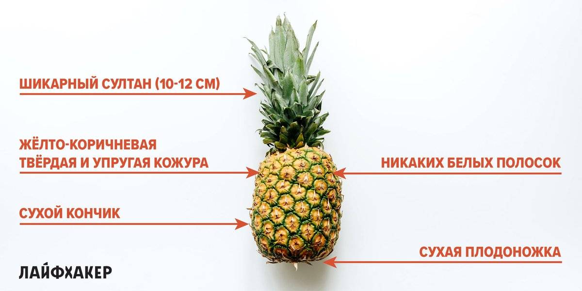Как выбрать вкусный спелый ананас и правильно его хранить
