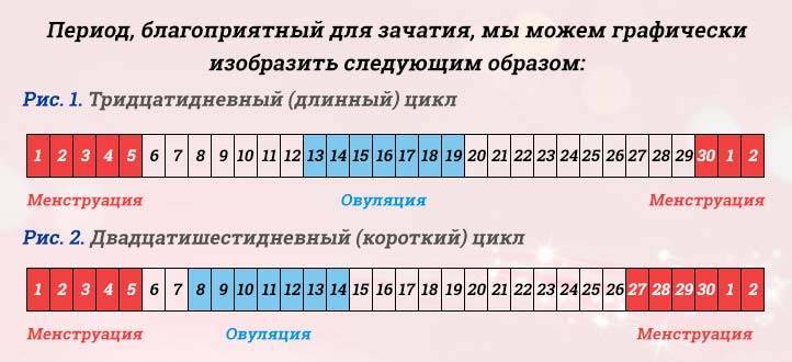 Как рассчитать благоприятные дни для зачатия ребёнка | vseproberemennost.ru