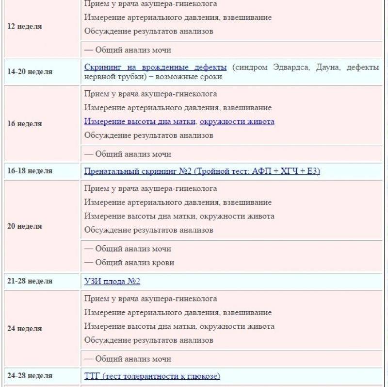 Узи во втором триместре беременности: все об исследовании * клиника диана в санкт-петербурге