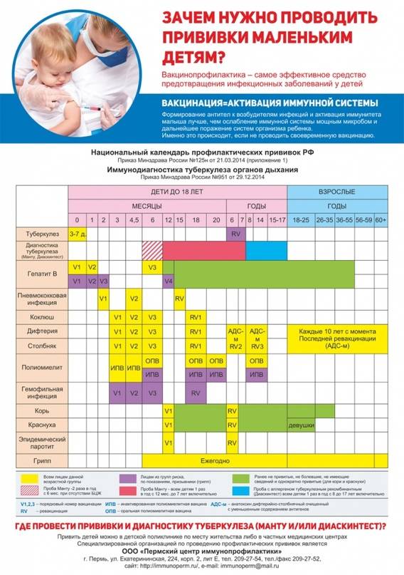 Схема вакцинации детей до года