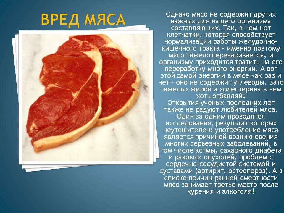 Как выбрать пробиотики для кишечника: список препаратов