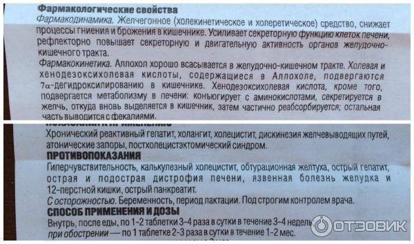 Аллохол при лактации
