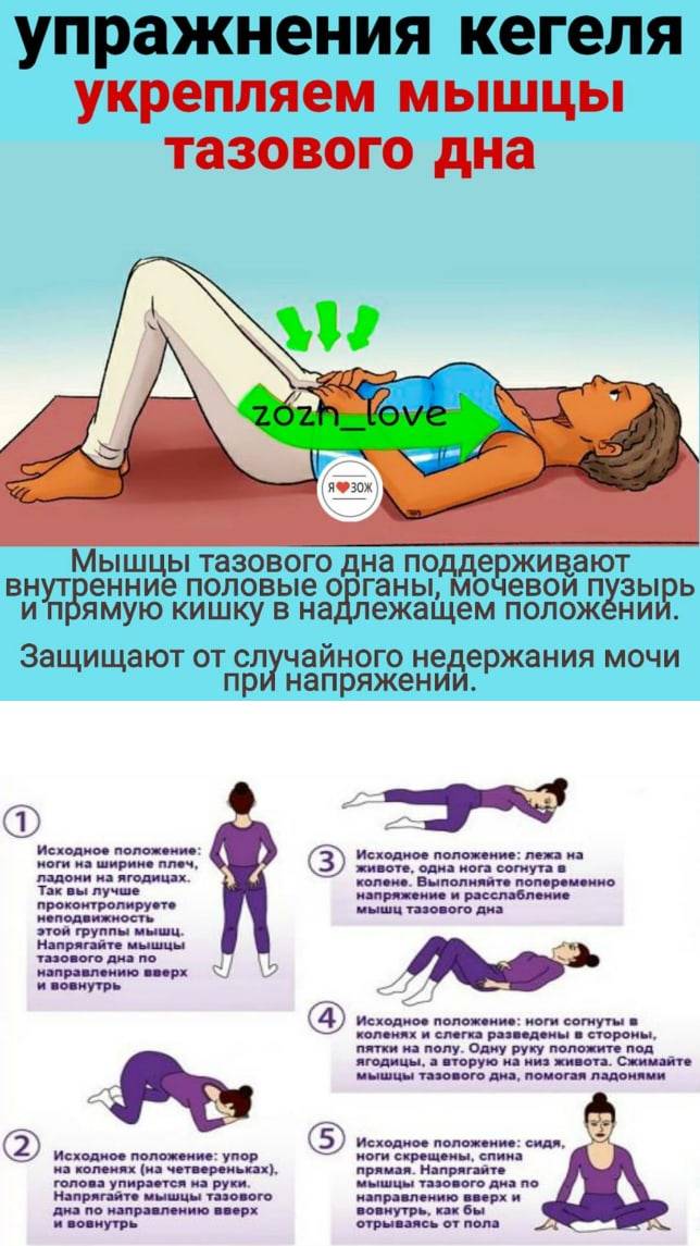 Упражнения для укрепления мышц тазового дна у женщин (упражнения кегеля)