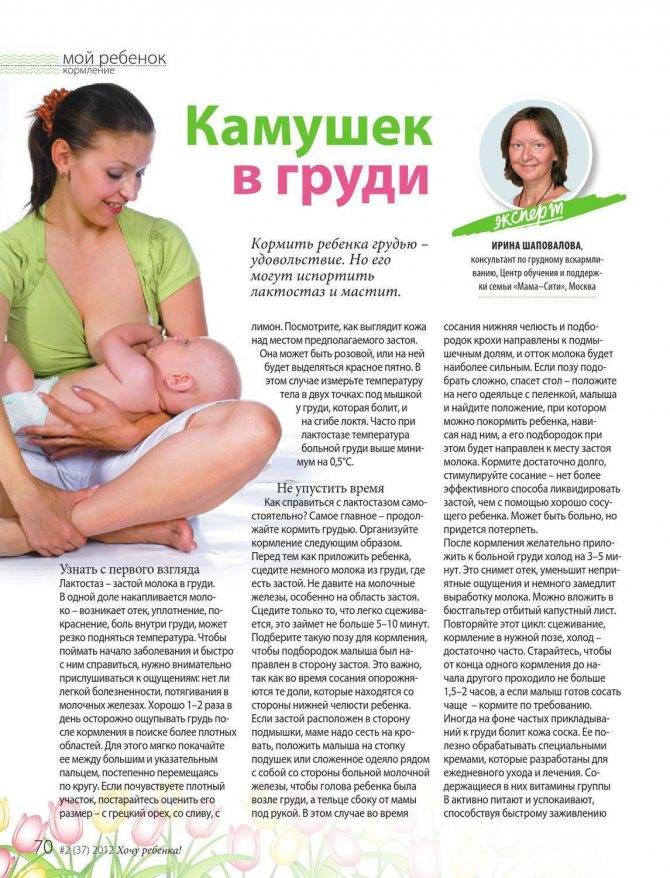 Расцеживаем грудь и улучшаем лактацию: техника массажа и секреты опытных мам