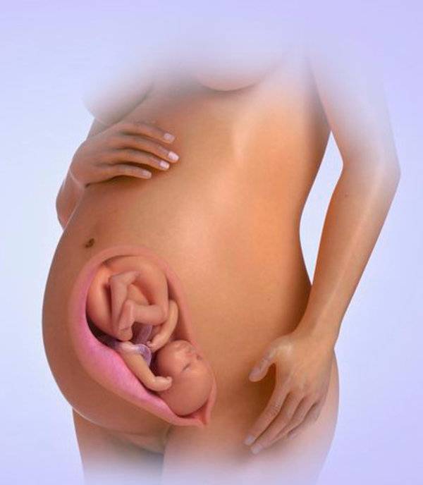 34 неделя беременности: признаки и ощущения женщины, симптомы, развитие плода
