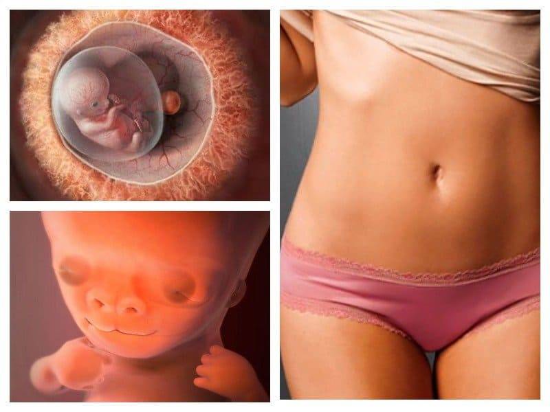 13 неделя беременности: развитие плода, что происходит с малышом и мамой, ощущения в животе — медицинский женский центр в москве