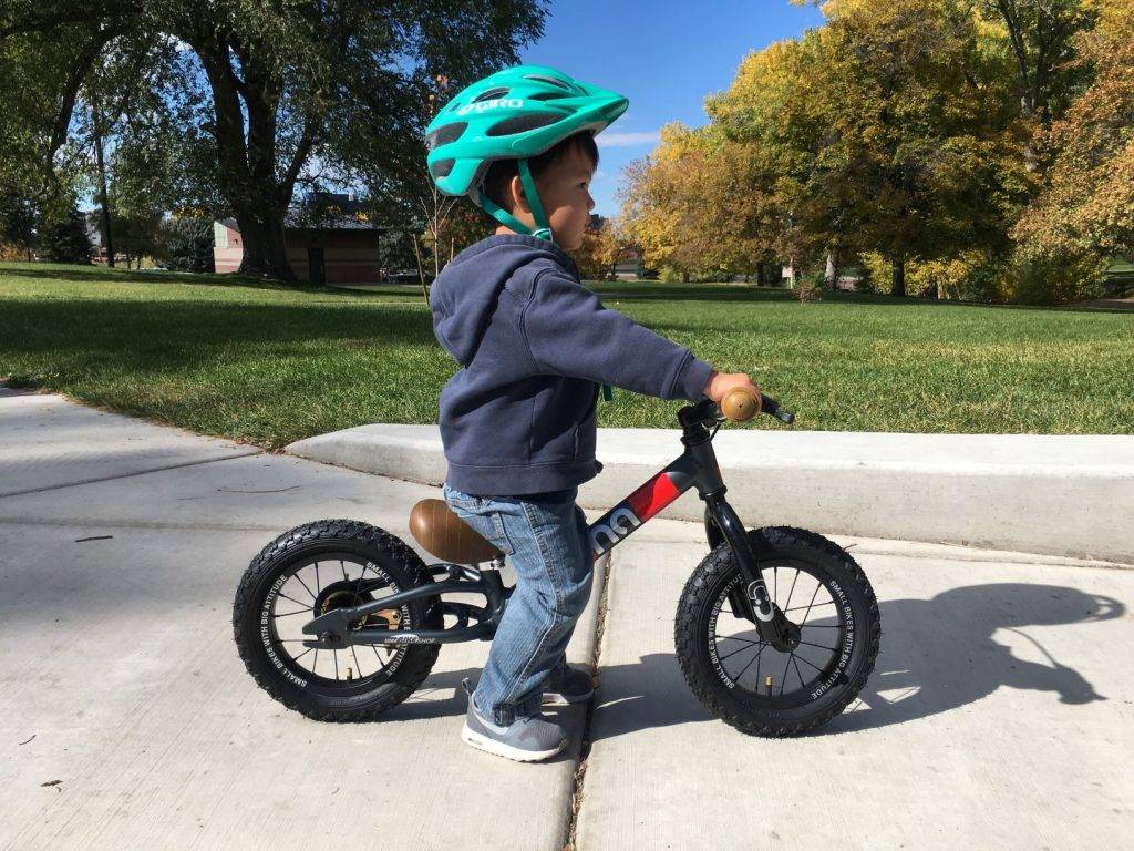 Популярные модели велосипедов без педалей для детей, советы по выбору